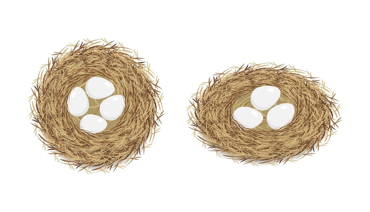Vector bird's nest with eggs. decor element for banners, postcards. vector illustration isolated on white background.