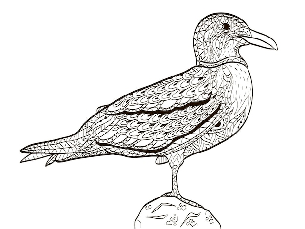 Bird seagull coloring book for adults vector