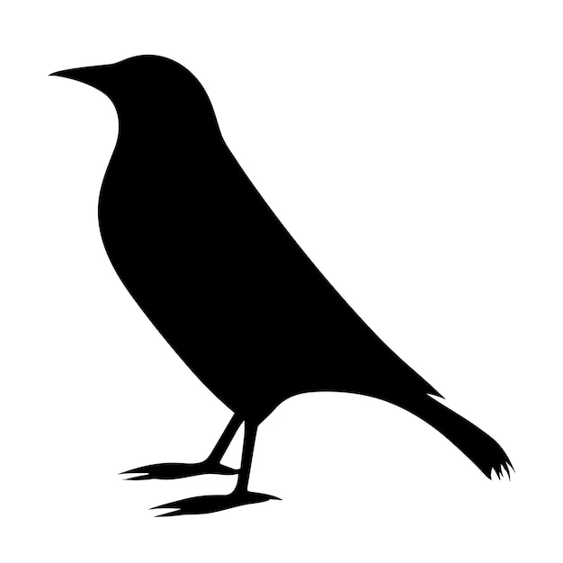 Дизайн силуэта птицы на белом фоне Вектор