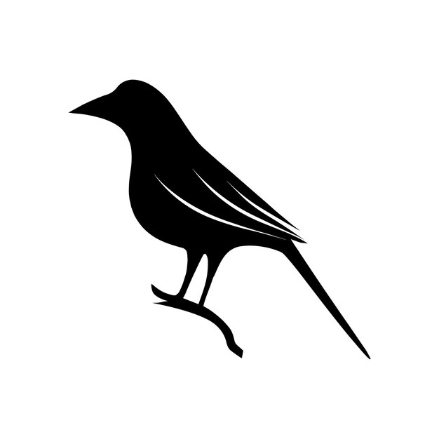 Bird silhouette design on white background Vector