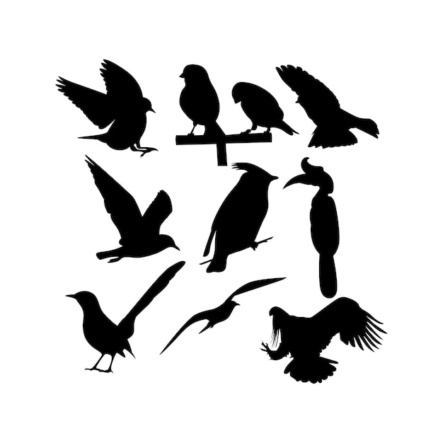 Bird silhouette vector illustration