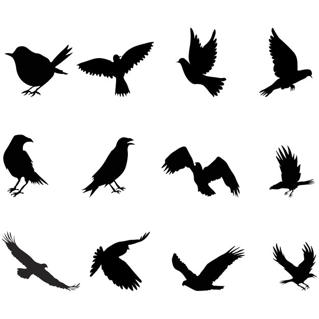 Vettore silhouette di uccello