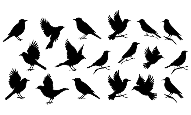 bird silhouettes collection