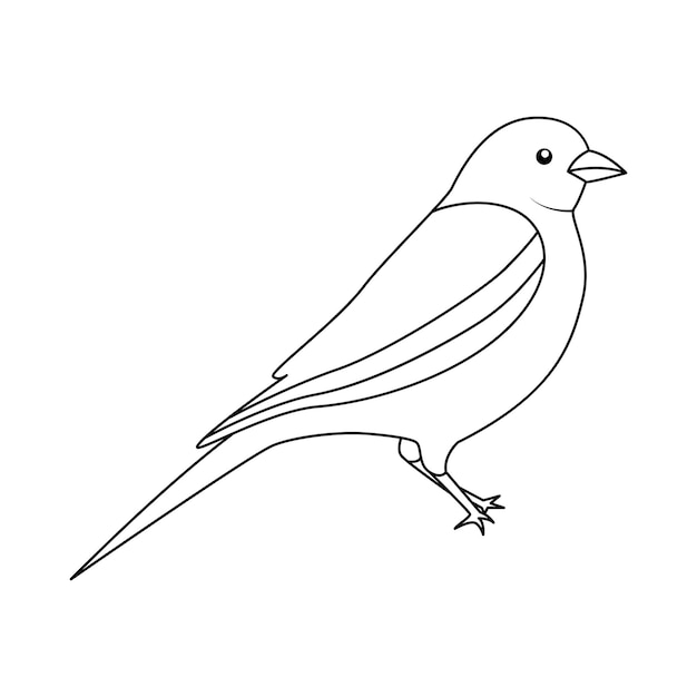 Bird single line art vector design and line art vector drawing