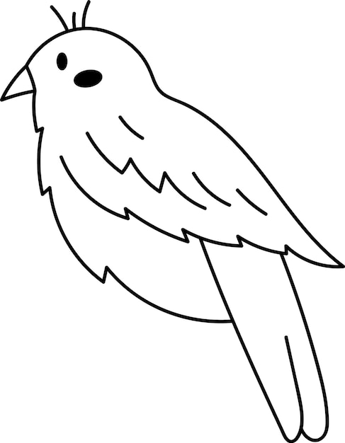 Bird Sitting Doodle