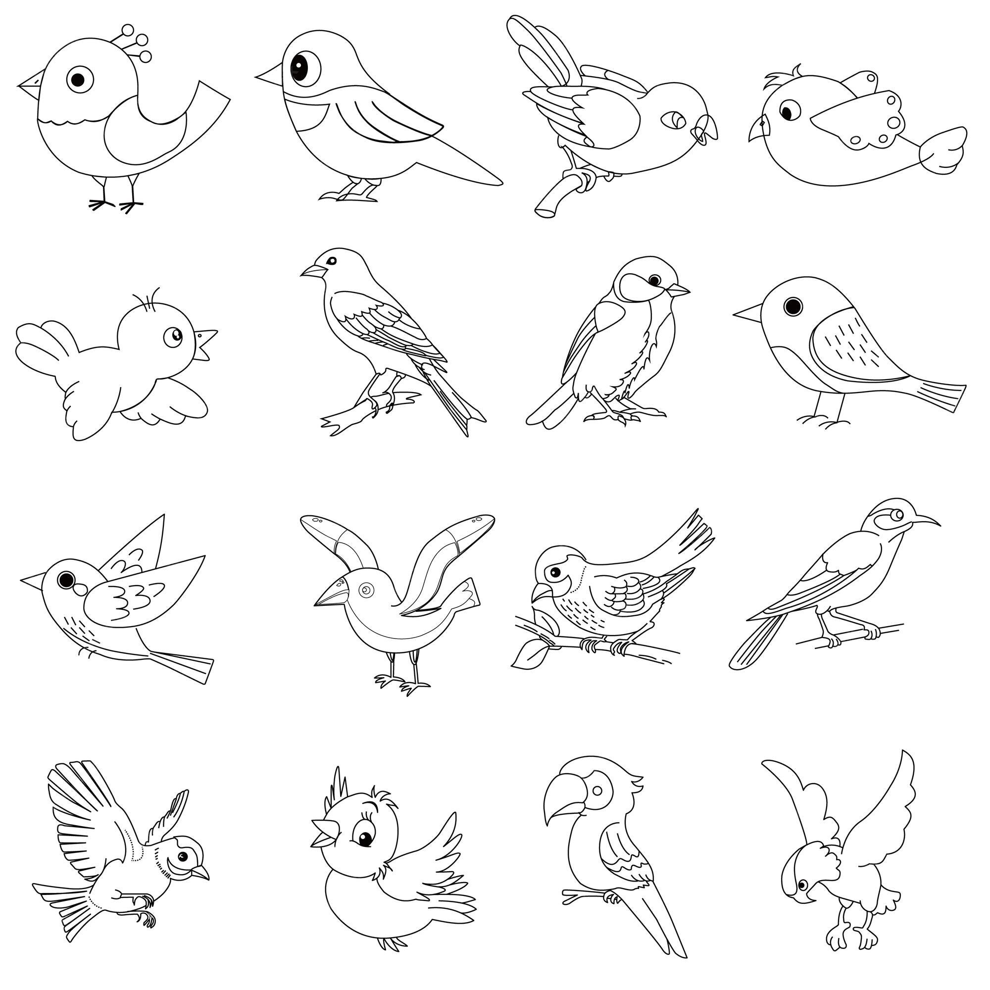 Premium Vector | Bird - sketch of a bird - bird line drawing - cartoon bird
