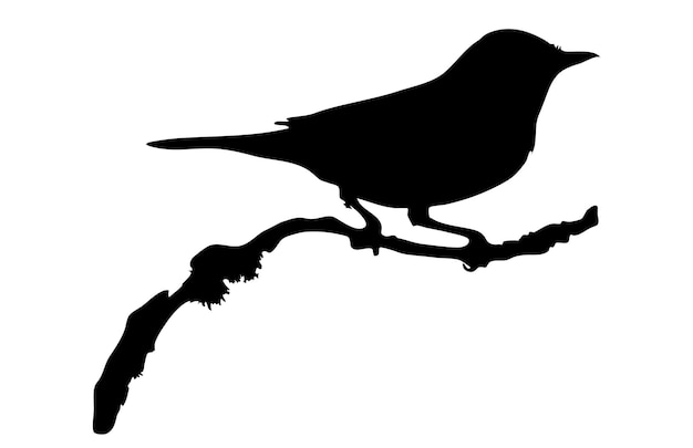 Vector bird standing on branch silhouette vector symbol idea side view isolated on white little bird