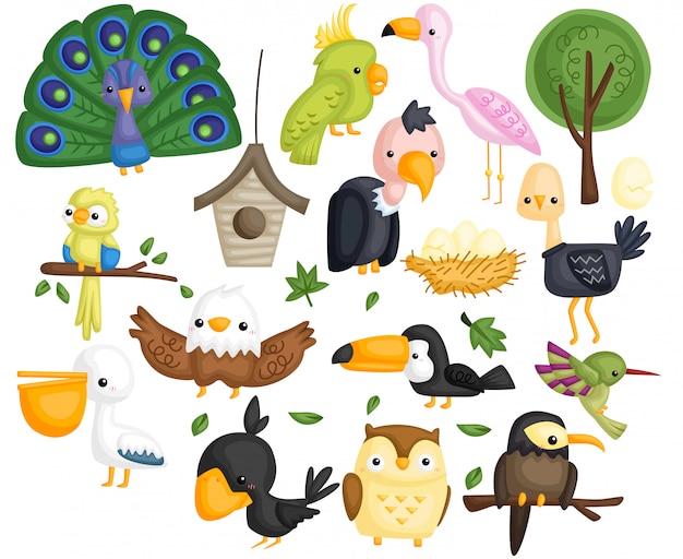 Bird type vector set