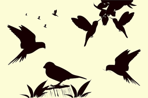 Vector bird vector beautiful flying humming bird parrot illustration silhouette drawing sketch art design