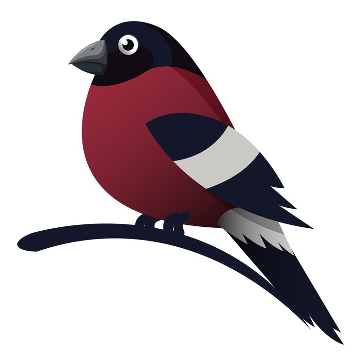 Vector bird vector cartoon illustration