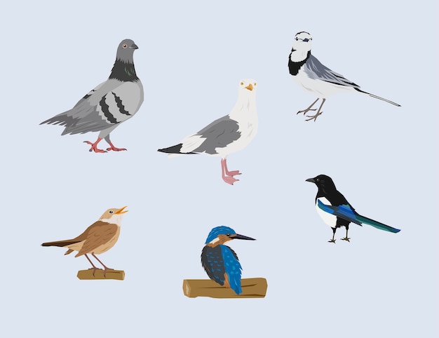 Bird vector in flat design