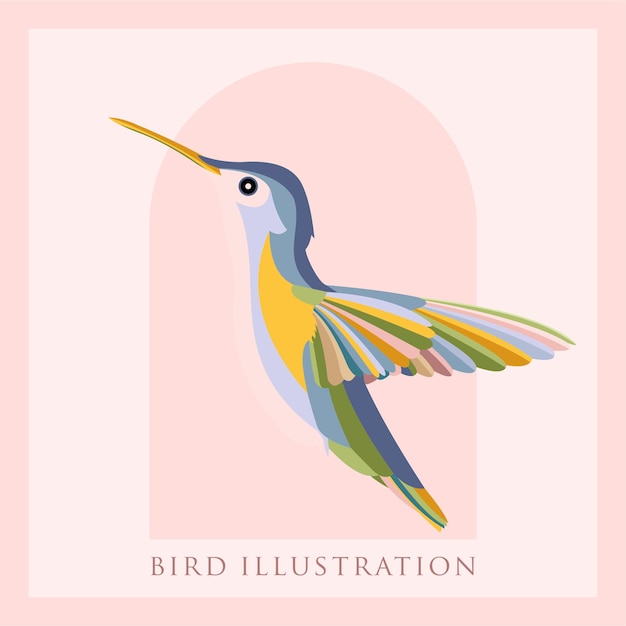 Vector bird vector illustration