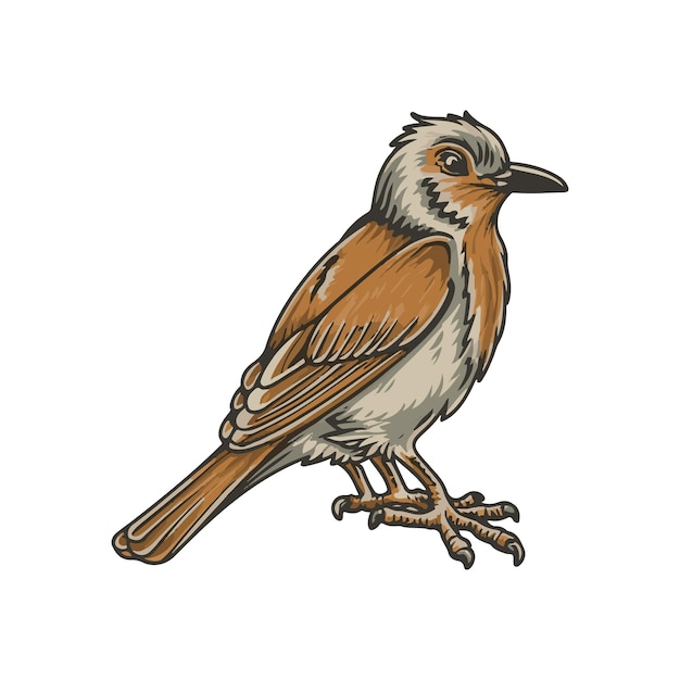 Vector bird vector illustration