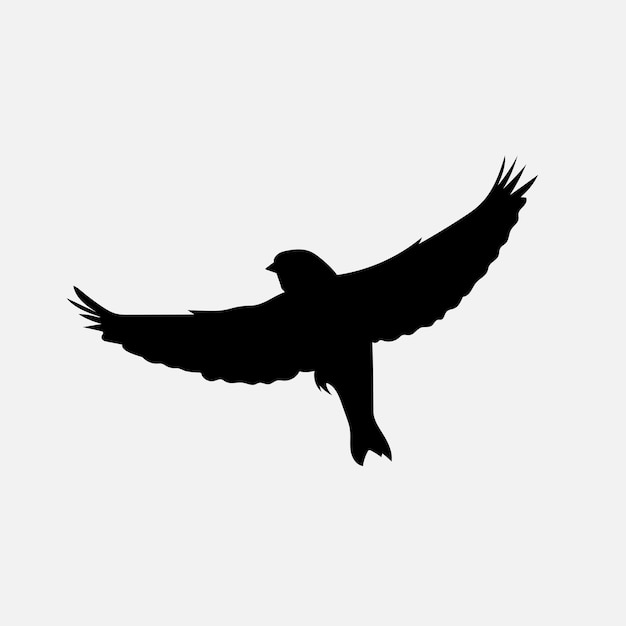 Bird vector png