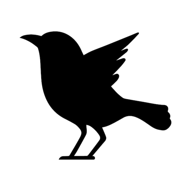 Vector bird vector silhouette