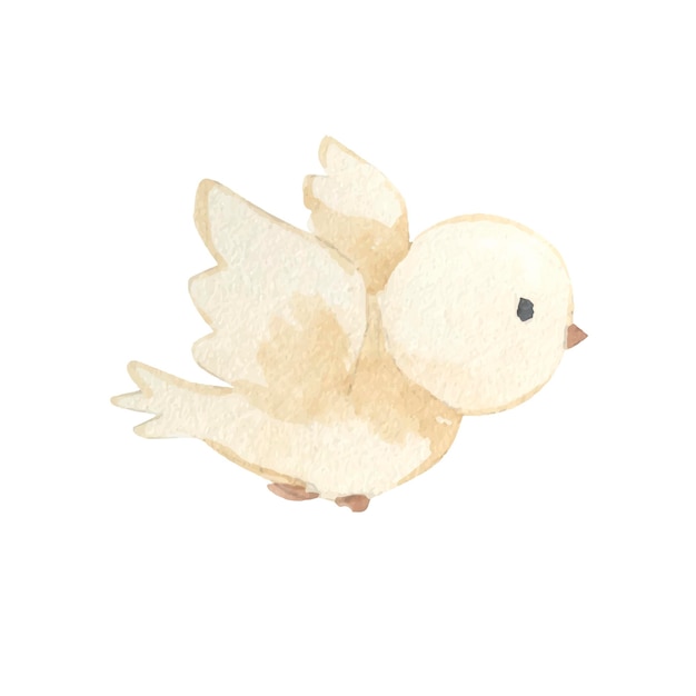 Bird watercolor illustration for kids