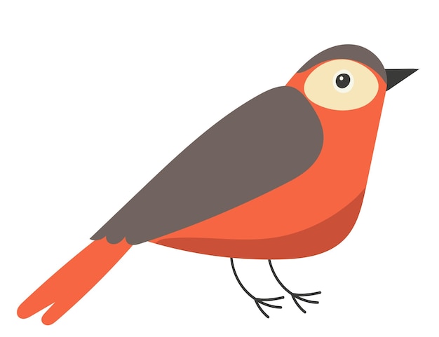 Vector bird and on white background