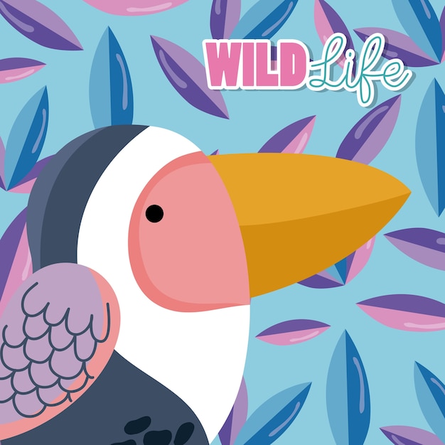 Bird wildlife animal cute cartoon 