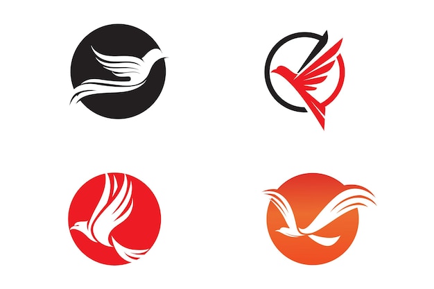 Bird wing Dove icon Template vector illustration