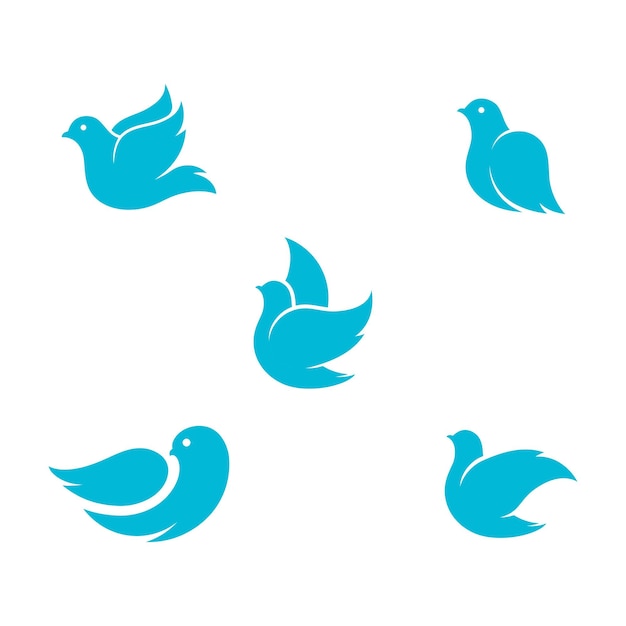 Bird wing Dove icon Template