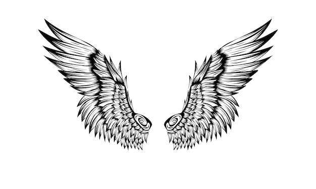 bird wing tattoo design vector illustration