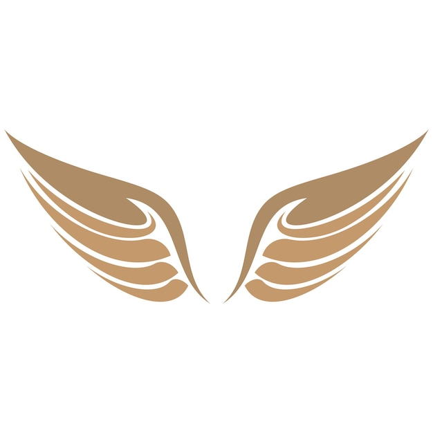 Bird wings illustration logos vector design