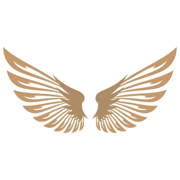 Bird wings illustration logos vector design