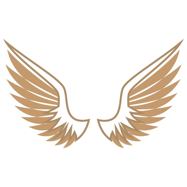 Bird wings illustration logos vector design