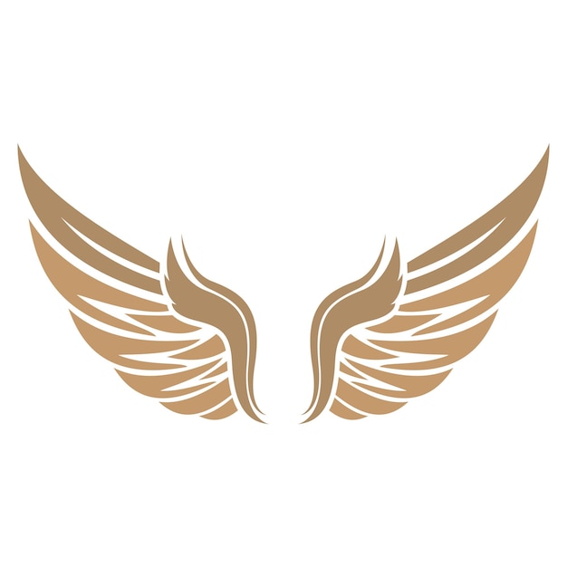 Bird wings illustration logos vector design