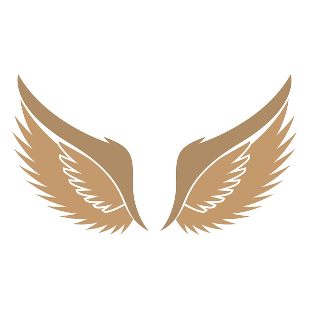 Bird wings illustration logos vector design