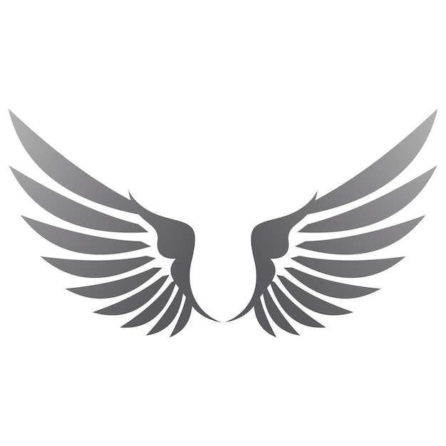 Bird wings illustration logos vector design