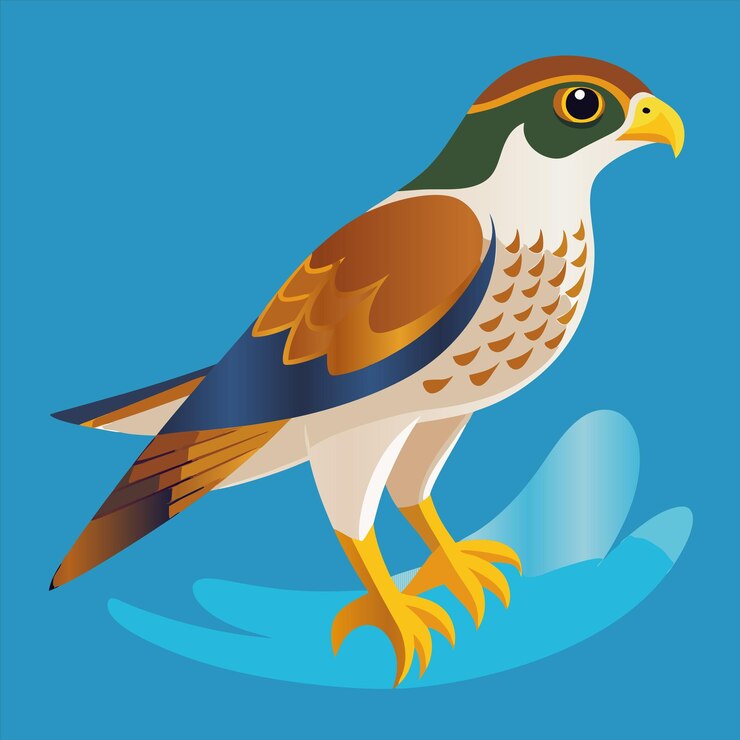 Vector a bird with a blue background with a brown and white tail