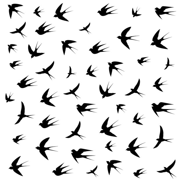 Vector birds are flying