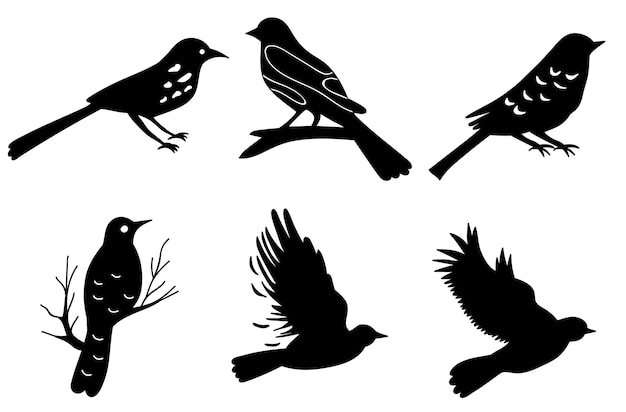 Vettore isolato silhouette nera di uccelli