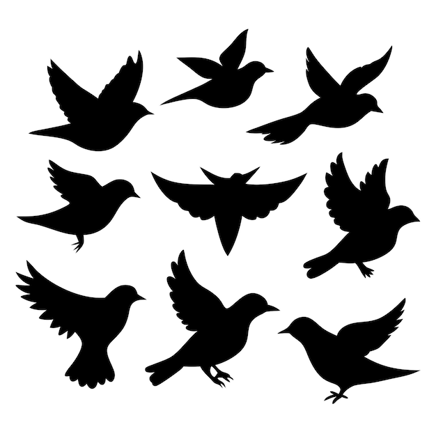 Vector birds black silhouettes collection isolated white background 12