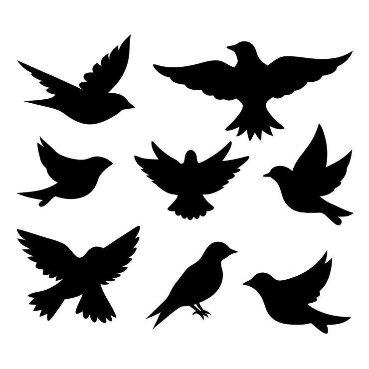 Vector birds black silhouettes collection isolated white background 15