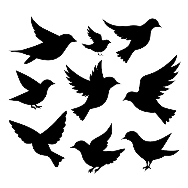 Vector birds black silhouettes collection isolated white background 20