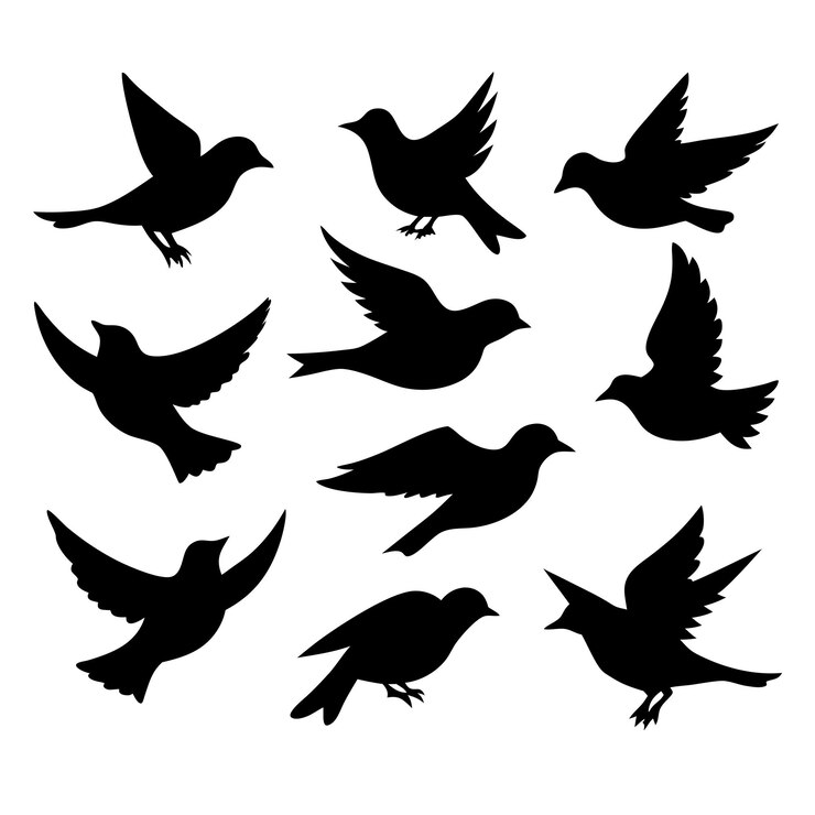 Vector birds black silhouettes collection isolated white background 21