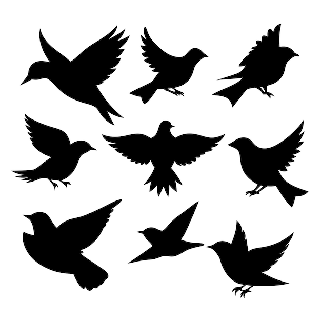 Vector birds black silhouettes collection isolated white background 25
