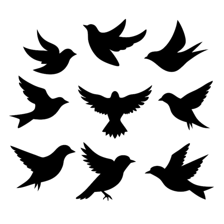 Vector birds black silhouettes collection isolated white background 3
