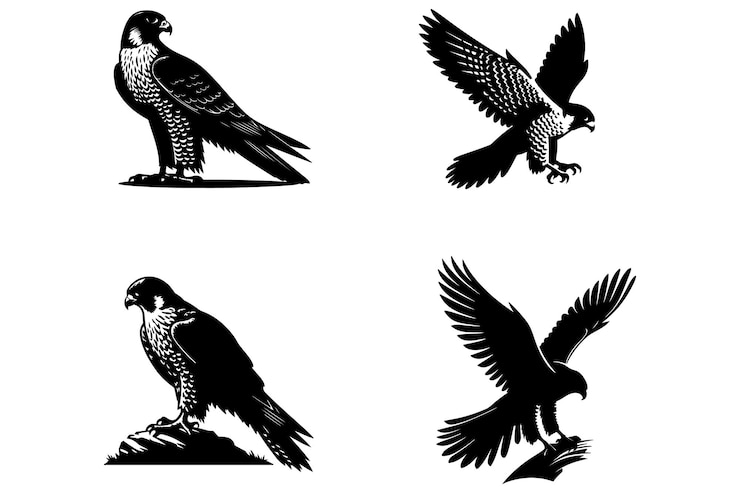 Vector birds bundle set