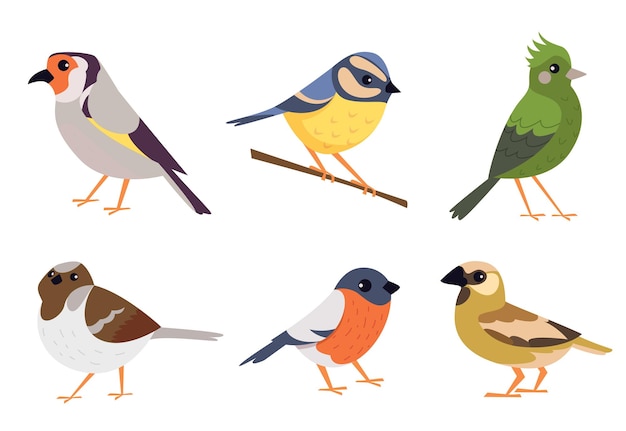 Birds Cartoon flying animals colored birds exact vector collection