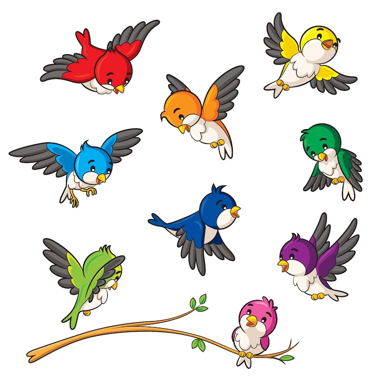 Vector birds cartoon