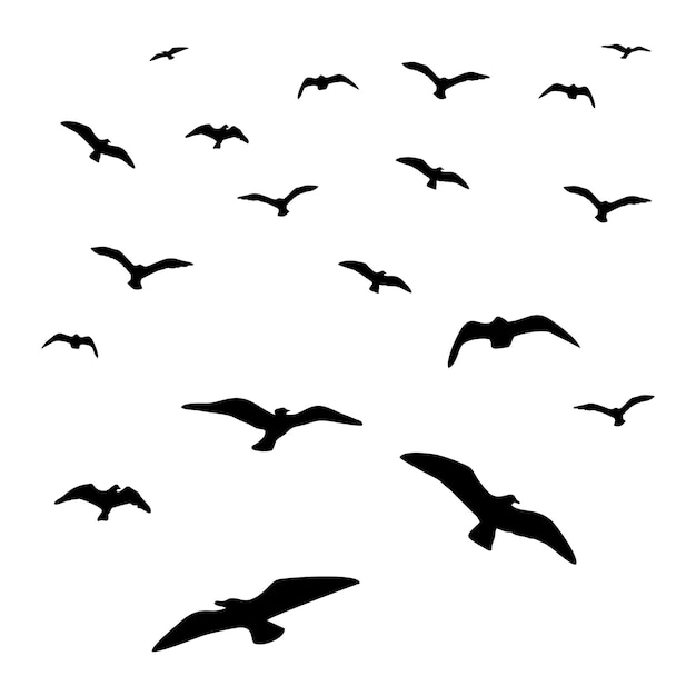 Vector birds circling in the sky black