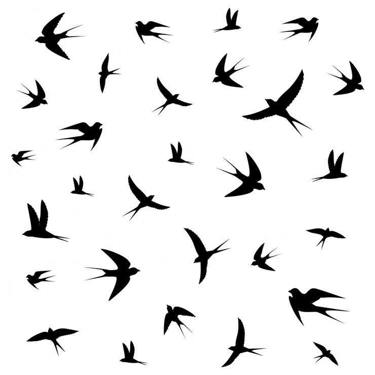 旋回する鳥