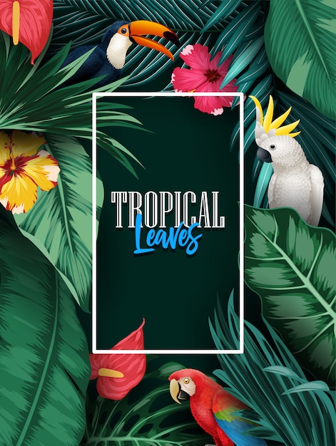 Birds collection and tropical plants background