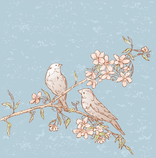 Birds on  flowering branch in springtime