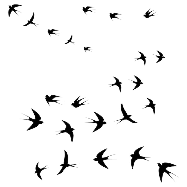 Vector birds fly in flocks