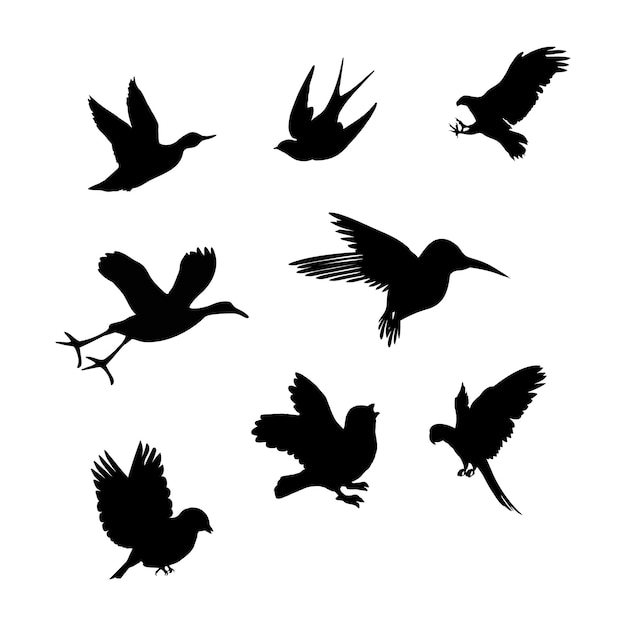 Vector birds fly freely silhouette design