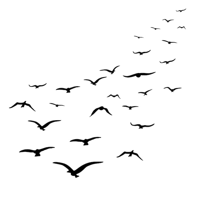 鳥は大きな群れで飛ぶ